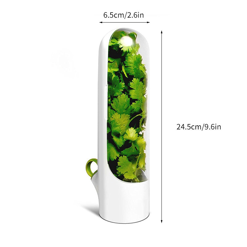 Vegetable Preservation Bottle