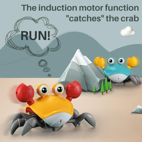 Crawling Crab Toy 🦀