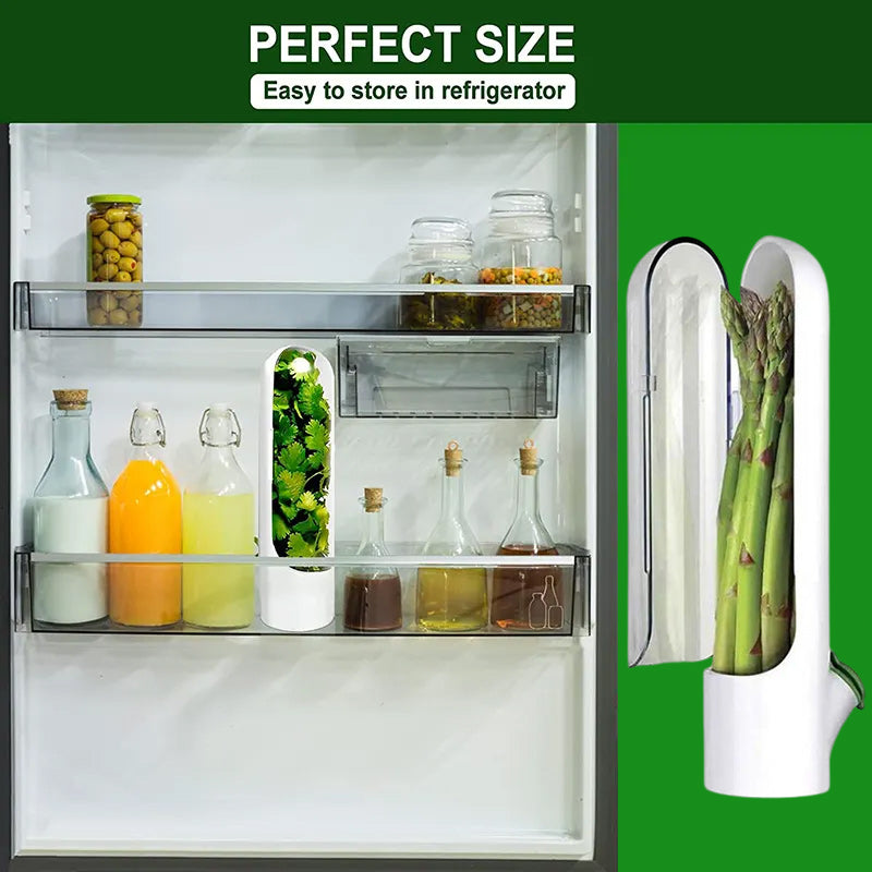 Vegetable Preservation Bottle