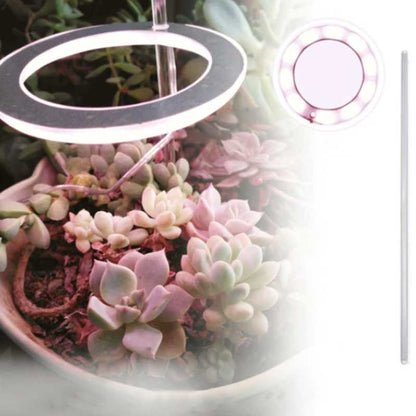 Grow lights for indooe plants
