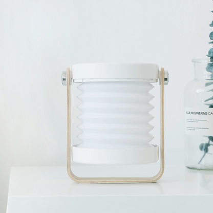 Modern Multi-Purpose Lamp
