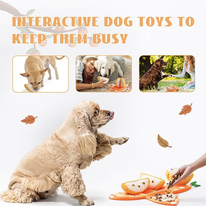 Orange Hide-and-Seek Plush Dog Toy