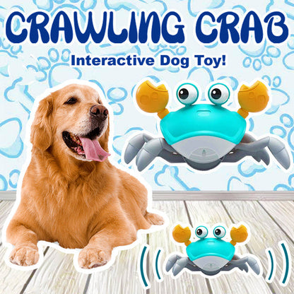 Crawling Crab Toy 🦀